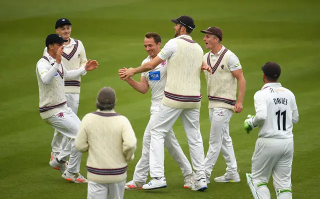 Somerset celebrate