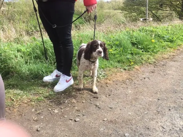 Rescued dog owner and Sonny