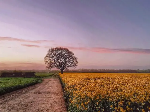 Baschurch, Shropshire