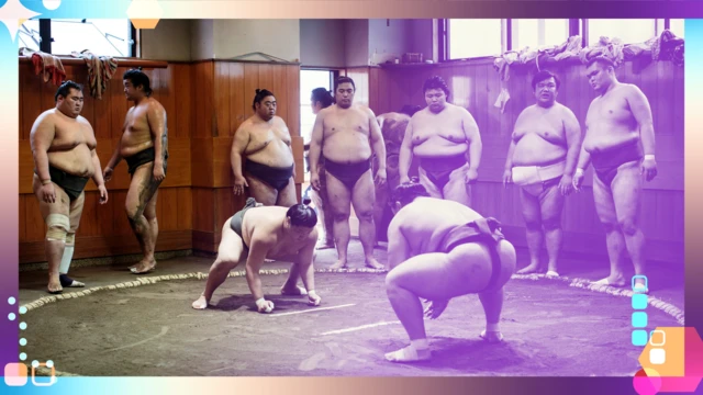 Sumo training