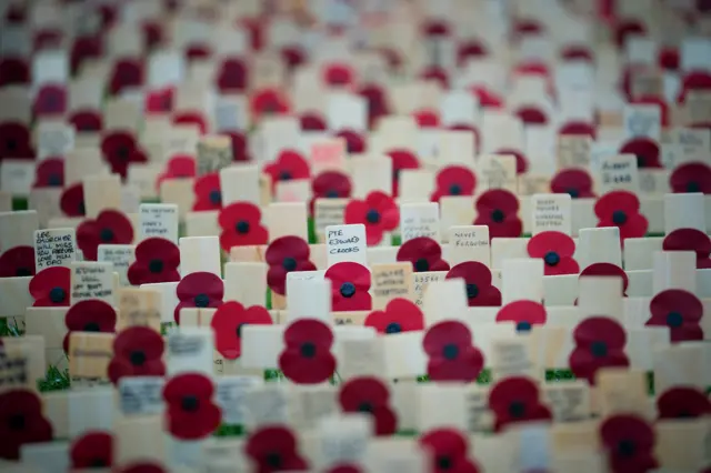 Memorial poppies at the National Memorial Arboretum