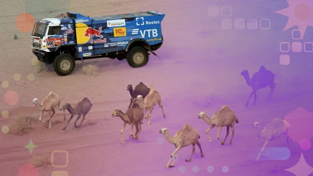 A truck races alongside camels as it competes in the Dakar rally