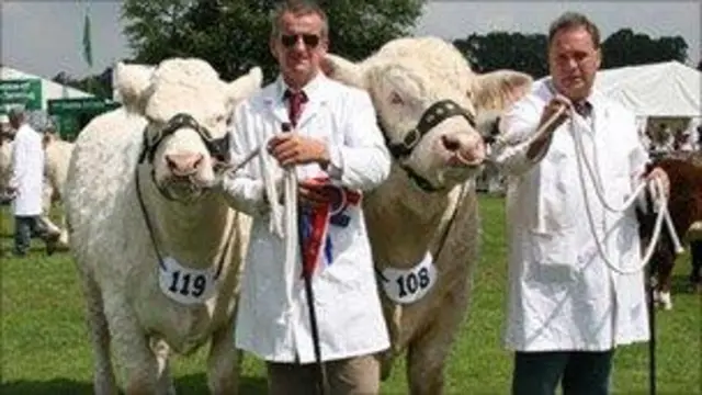 Shropshire County Show