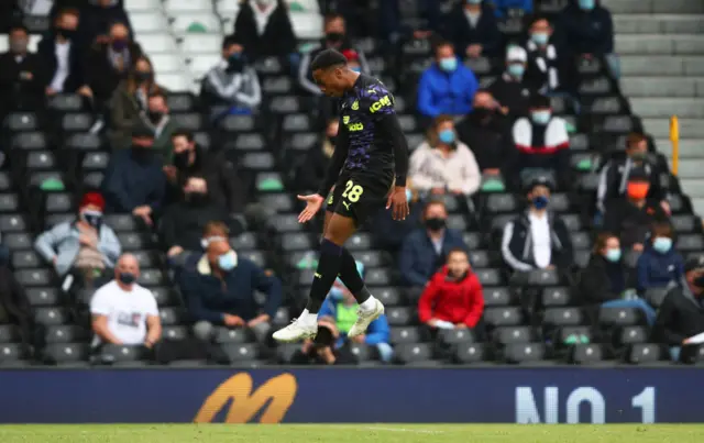 Joe Willock scores for Newcastle