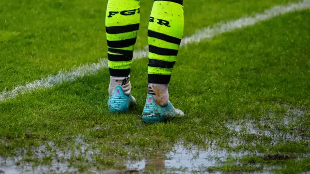 Forest Green pitch