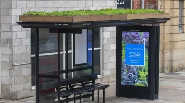 Bus shelter with a living roof