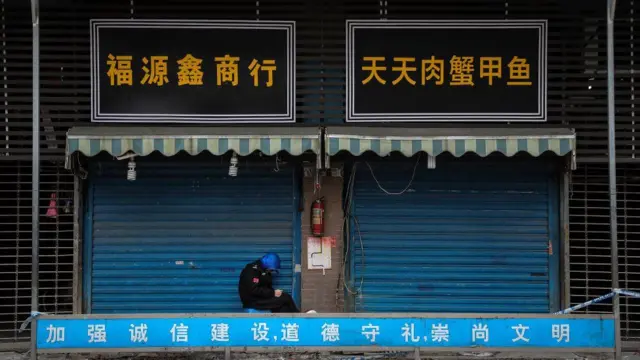 The Huanan Seafood Wholesale Market in Wuhan