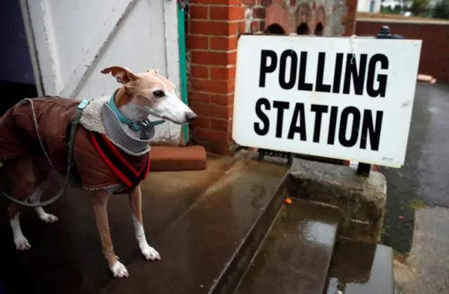 A dog is pictured at a polling station during the general election in Brighton, Britain, December 12, 2019