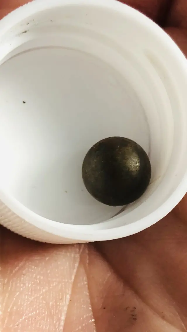 The pellet found in Molly's neck