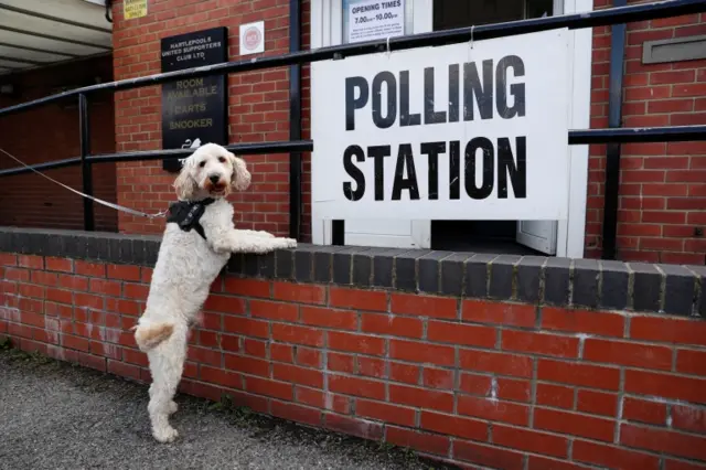 A dog waits outside a polling station in Hartlepool