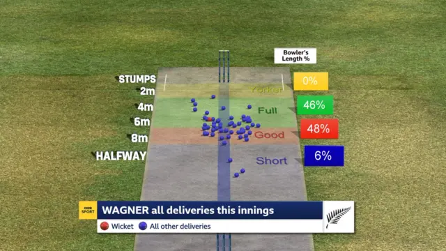 Neil Wagner pitch map