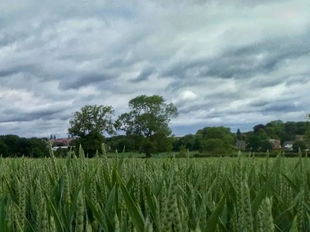 Cloudy skies over Sutton Coldfield on Friday morning