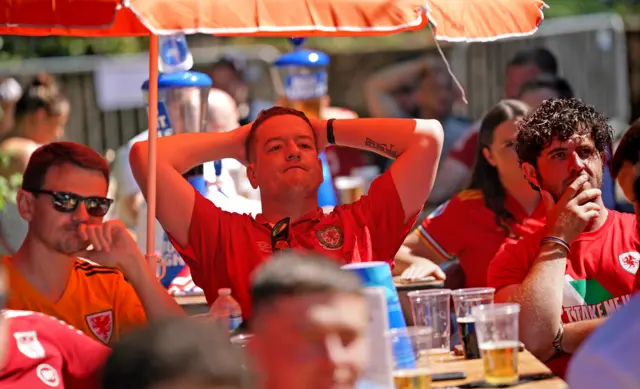 Wales fans watch on