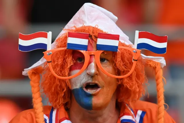 Netherlands fan