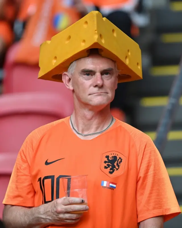 Netherlands fan