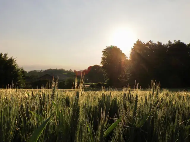 Kegworth, Leicestershire