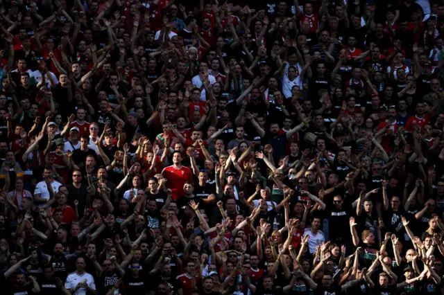 Hungary fans