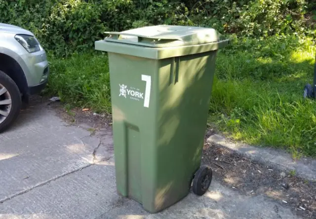 Green bin on road