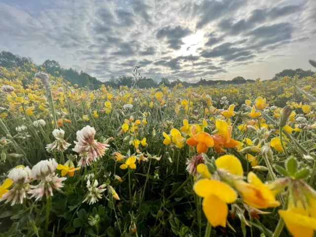 Holme Pierrepont, Nottinghamshire