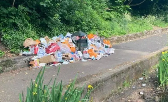 Litter in Crookes Valley Park