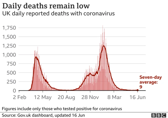 Daily deaths chart