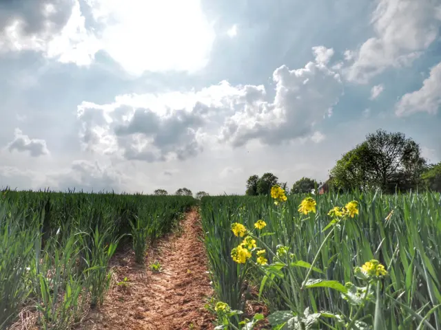 Kegworth in Leicestershire