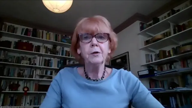 Dame Vera Baird addressing the home affairs committee by video link