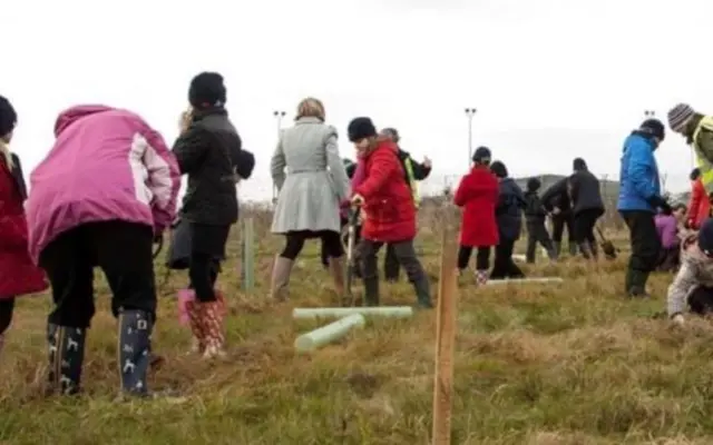 Tree planting