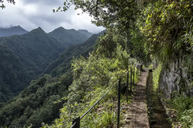 Madeira walkway