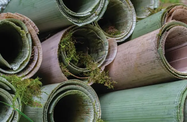 Pile of tree guards