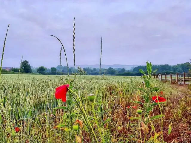 Baschurch in Shropshire