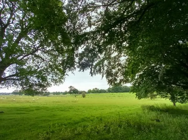 A green field in Rugby