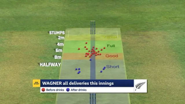 Neil Wagner pitch map