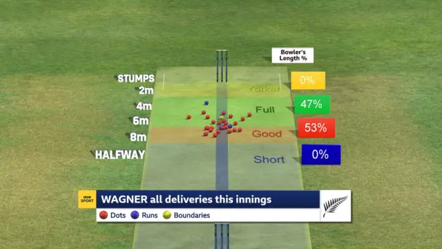 Neil Wagner's pitch map