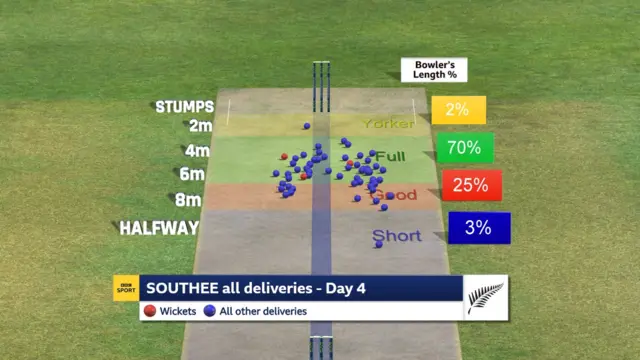 Tim Southee pitch map