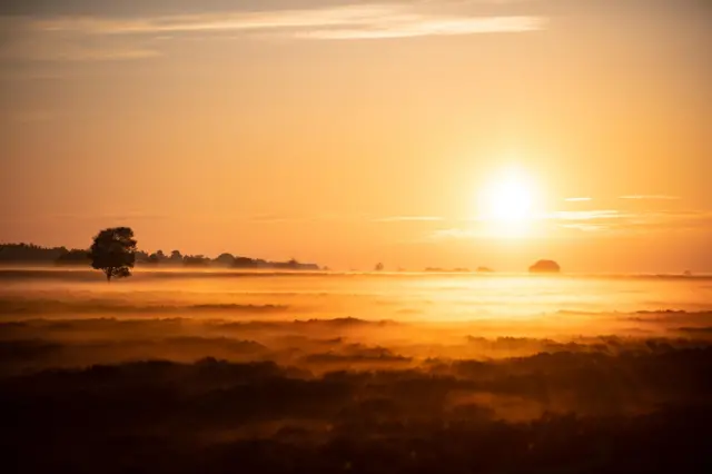 Sunrise with the mist in Beeley, Derbyshire