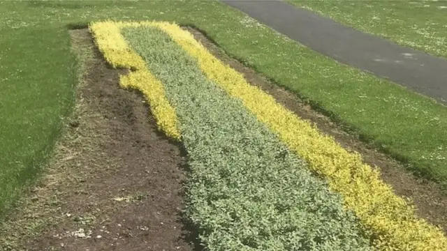 Denuded flower bed