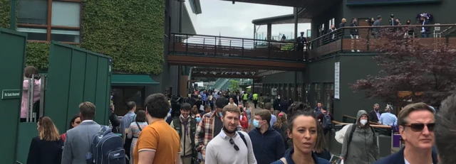 Fans at Wimbledon