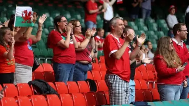 Wales fans