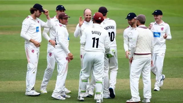 Somerset celebrate sealing a Division One place.