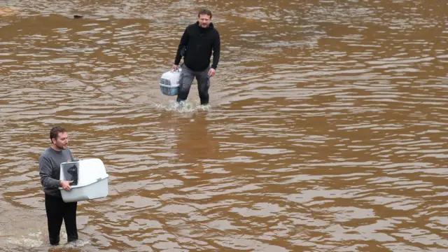 men are seen carrying cat boxes in Pepinster in Belgium