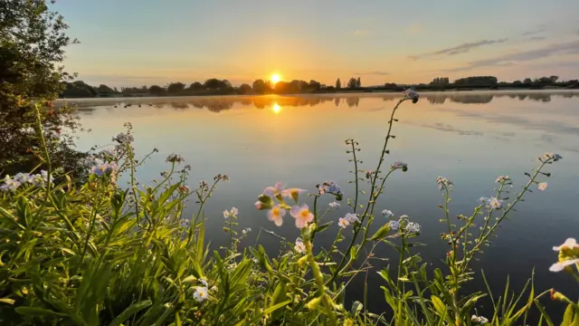 Sun at Holme Pierrepont