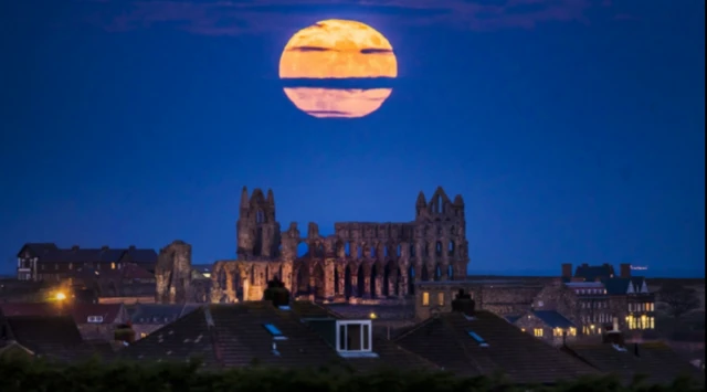 Whitby Abbey in moonlight