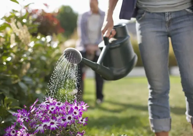 Watering can stock image