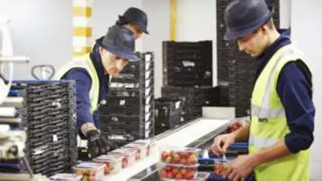 Staff in a supermarket depot