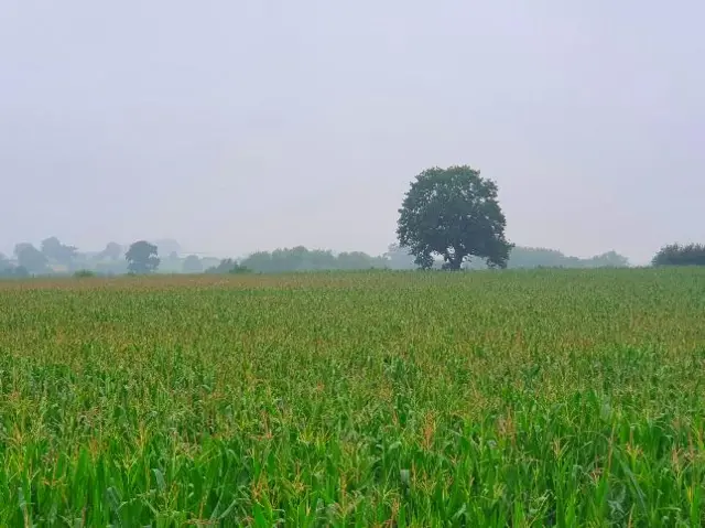 Gnosall, Staffordshire