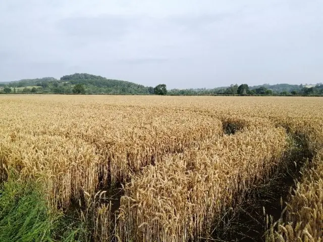 Bodenham, Herefordshire