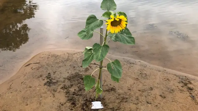 Tribute left at nature reserve