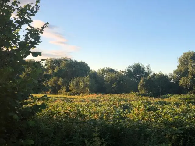 Sunrise in Pershore, Worcestershire