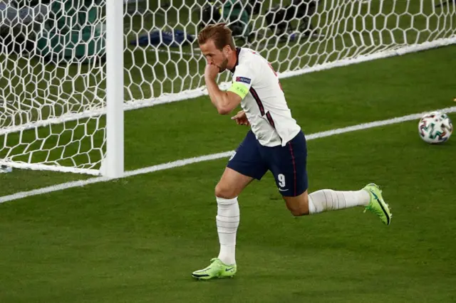 Harry Kane celebrates